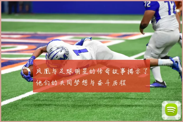 凤凰与足球明星的传奇故事揭示了他们的共同梦想与奋斗历程