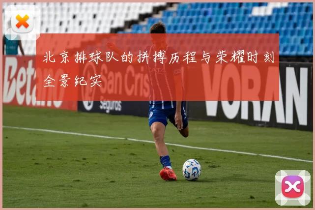 北京排球队的拼搏历程与荣耀时刻全景纪实