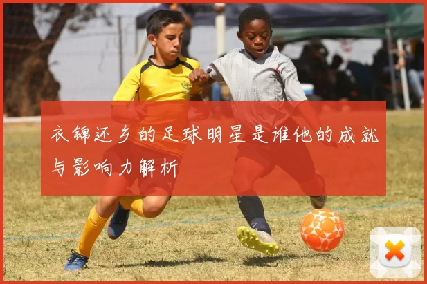 衣锦还乡的足球明星是谁他的成就与影响力解析