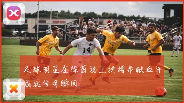 足球明星在绿茵场上拼搏奉献血汗成就传奇瞬间