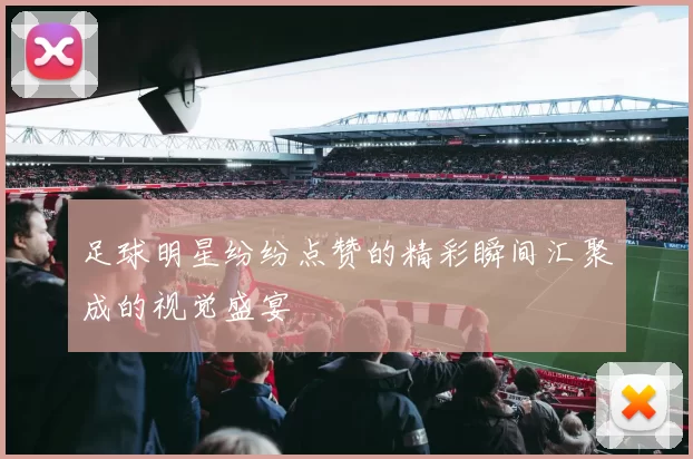 足球明星纷纷点赞的精彩瞬间汇聚成的视觉盛宴