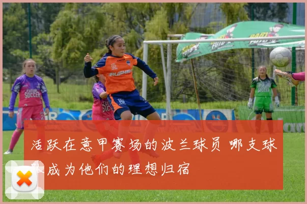 活跃在意甲赛场的波兰球员 哪支球队成为他们的理想归宿