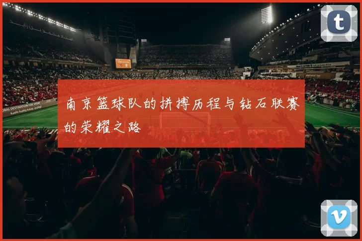 南京篮球队的拼搏历程与钻石联赛的荣耀之路