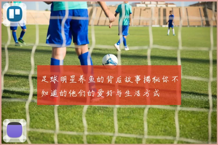 足球明星养鱼的背后故事揭秘你不知道的他们的爱好与生活方式