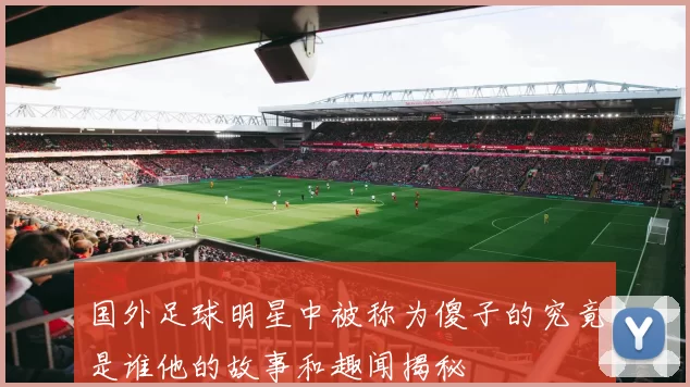 国外足球明星中被称为傻子的究竟是谁他的故事和趣闻揭秘