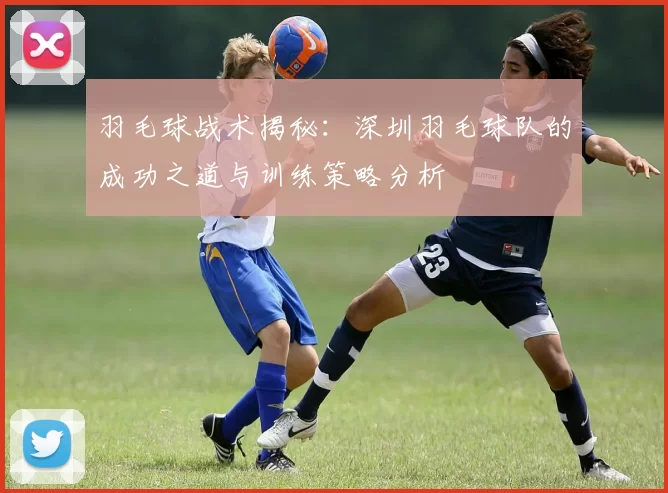 羽毛球战术揭秘：深圳羽毛球队的成功之道与训练策略分析
