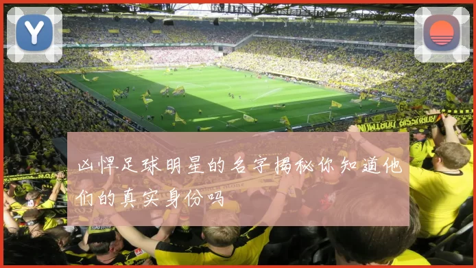 凶悍足球明星的名字揭秘你知道他们的真实身份吗