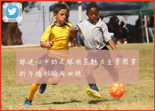 球迷心中的足球明星魅力全景图赏析与精彩瞬间回顾