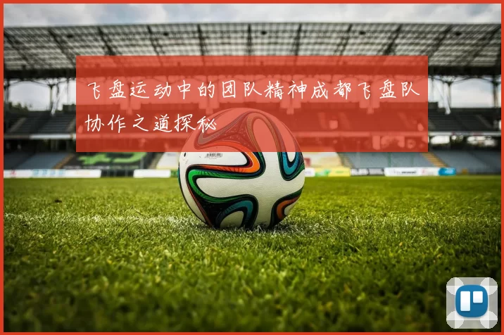 飞盘运动中的团队精神成都飞盘队协作之道探秘