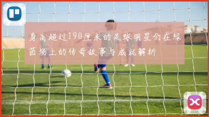 身高超过190厘米的足球明星们在绿茵场上的传奇故事与成就解析