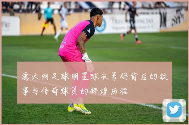意大利足球明星球衣号码背后的故事与传奇球员的辉煌历程
