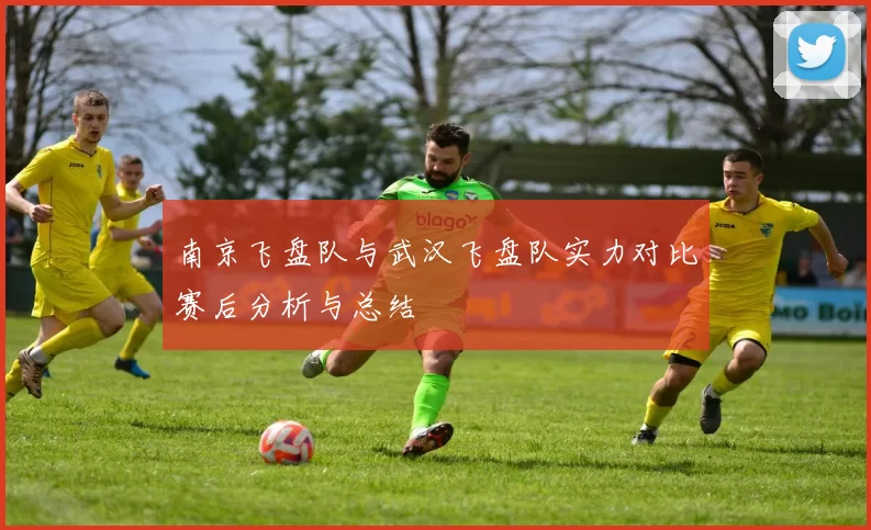 南京飞盘队与武汉飞盘队实力对比赛后分析与总结