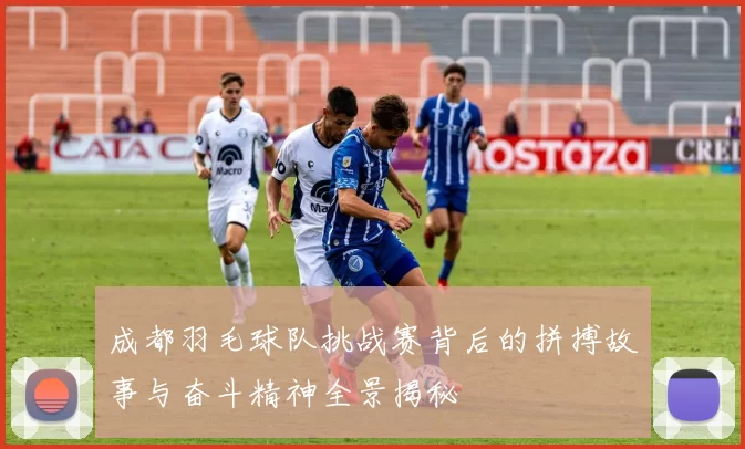 成都羽毛球队挑战赛背后的拼搏故事与奋斗精神全景揭秘