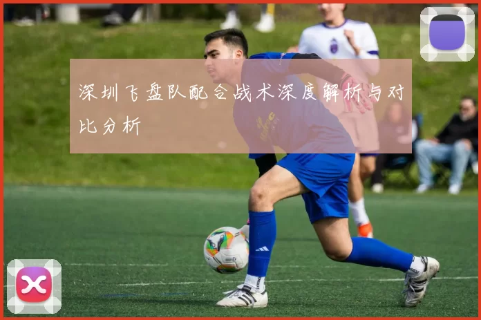 深圳飞盘队配合战术深度解析与对比分析