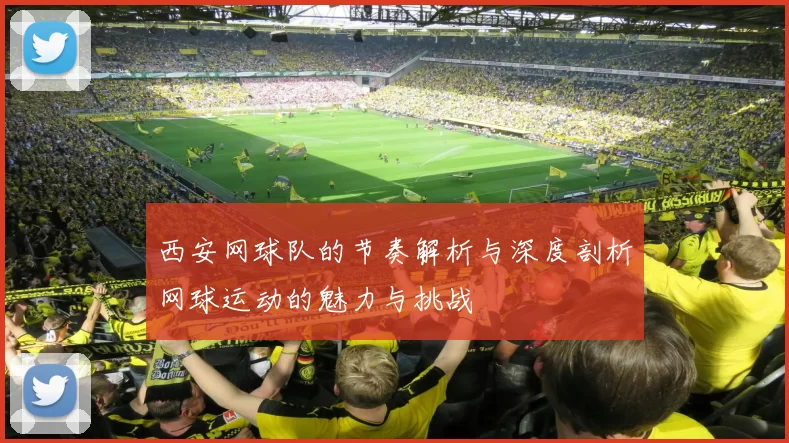 西安网球队的节奏解析与深度剖析网球运动的魅力与挑战