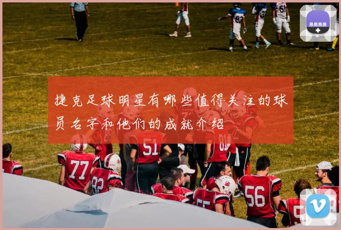 捷克足球明星有哪些值得关注的球员名字和他们的成就介绍