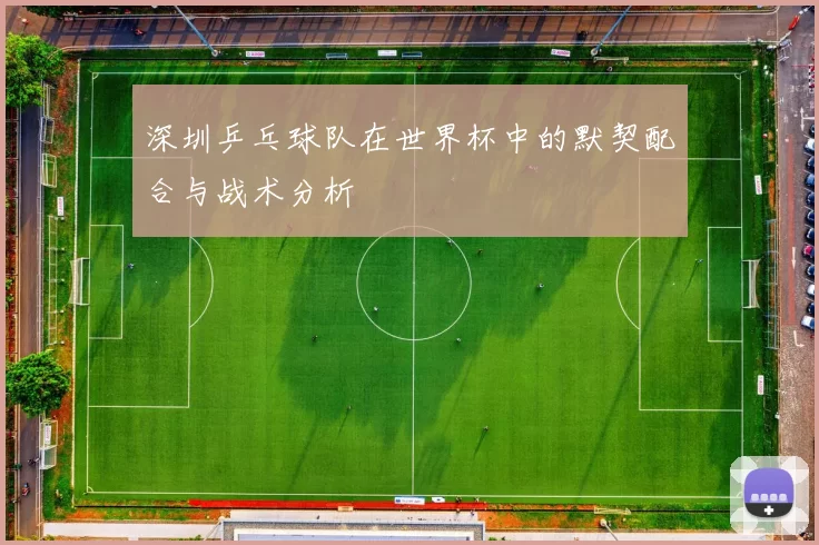 深圳乒乓球队在世界杯中的默契配合与战术分析