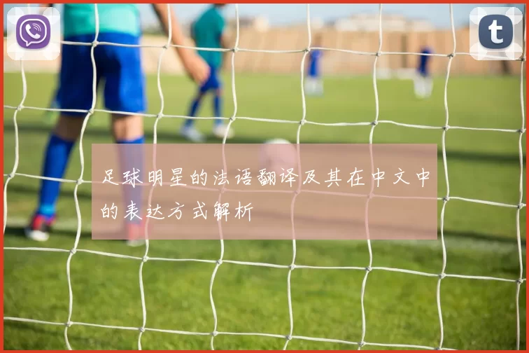 足球明星的法语翻译及其在中文中的表达方式解析