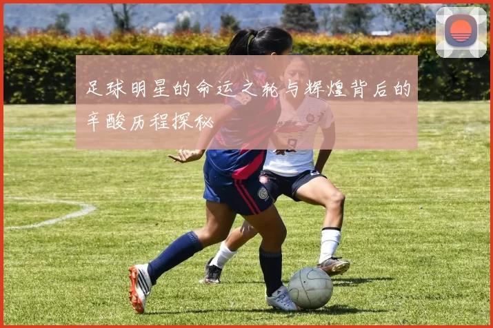 足球明星的命运之轮与辉煌背后的辛酸历程探秘
