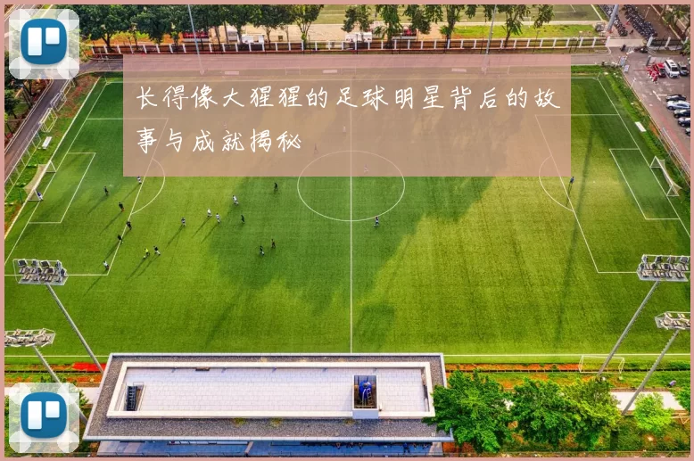 长得像大猩猩的足球明星背后的故事与成就揭秘