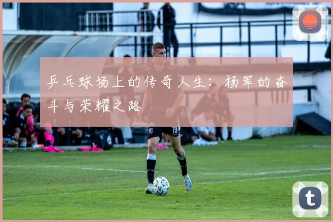 乒乓球场上的传奇人生：杨军的奋斗与荣耀之路