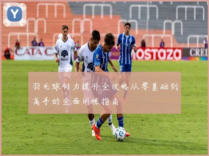 羽毛球耐力提升全攻略从零基础到高手的全面训练指南