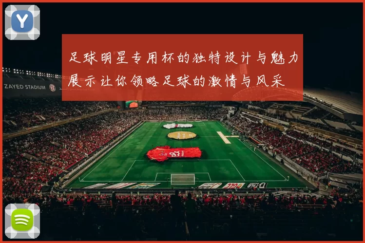 足球明星专用杯的独特设计与魅力展示让你领略足球的激情与风采