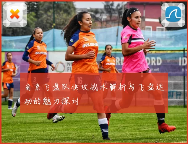 南京飞盘队快攻战术解析与飞盘运动的魅力探讨
