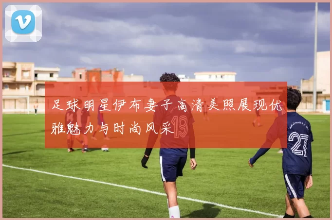 足球明星伊布妻子高清美照展现优雅魅力与时尚风采