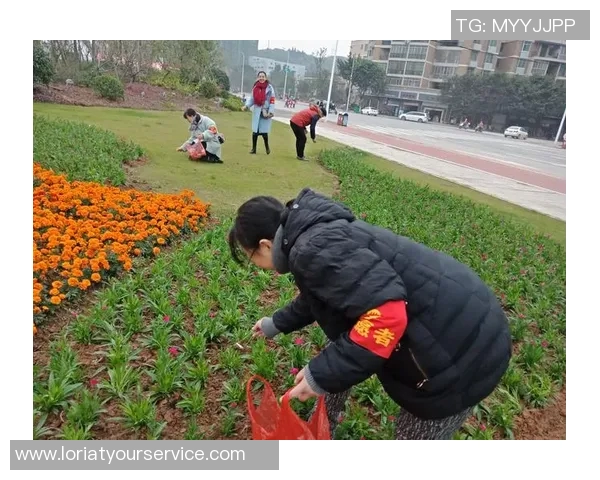 杭州极限运动队的拼搏之路：勇敢追梦的真实故事与奋斗纪实
