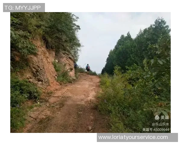 李敏的攀岩人生：在高峰之上与自我对话的深度探索